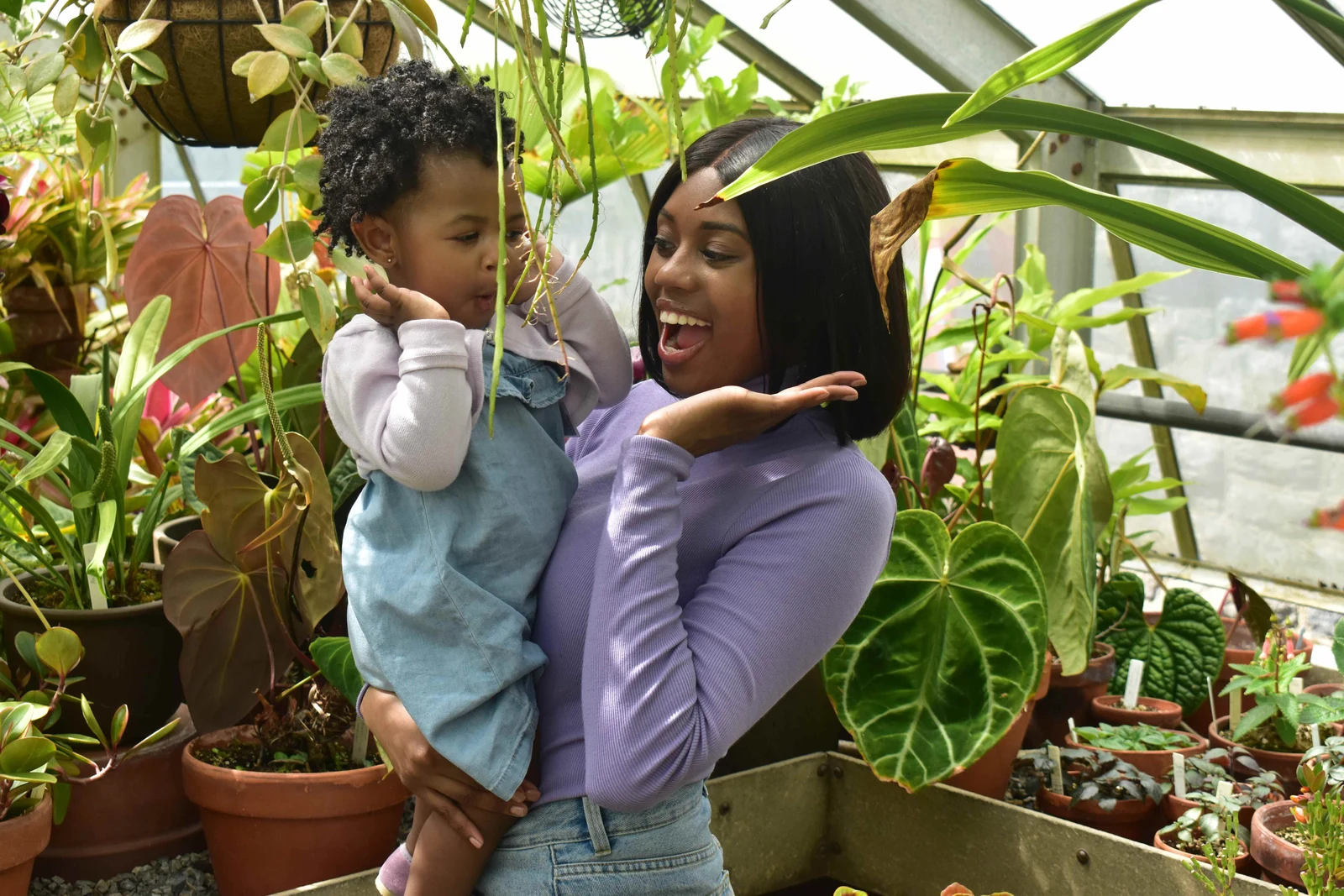 A family caring for plants together